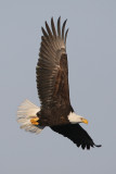 1DM31192.jpg