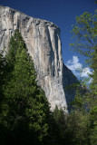 El capitan