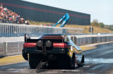 Paus_Tierp_120915_mp_007.jpg