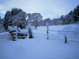 Corse Castle  & House Grounds