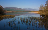 Loch Davan  - looking over to Morven