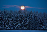 Moonrise over Glen Tanar