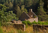 Bonnyside ruin - just north of Aboyne Loch