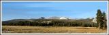 Tuolumne Meadow