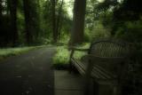 Secret Bench - Longwood Gardens