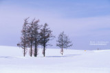 hokkaido_133.jpg