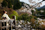 kyoto_016.jpg