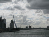 IMG_7954.JPG