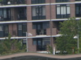 IMG_7961a.jpg