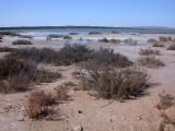 Salinas De Torrevieja