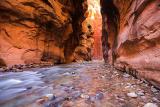 The Narrows of Zion