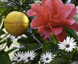Happy Valentines Day to All