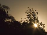 December 7:  Sunrise on Verano