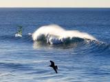 The Wave