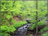 Munising Creek