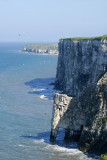 Bempton Cliffs