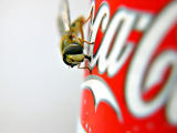 Addicted to coke