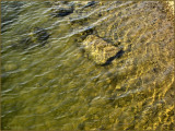 Rocks Under Water Windy Day.jpg