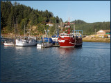 Fish Boats at Dock Winchester Bay.jpg