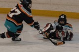 Tyler_Hockey_Goalie_20080315_TYL_8228.JPG