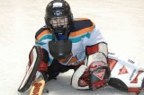 Tyler_Hockey_Goalie_20080315_TYL_8238.JPG