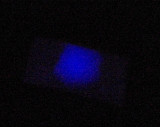 Spinthariscope in use,  decay of zinc sulfide atoms by bombardment with alpha radiation