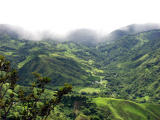 P7111577-MonteVerde.jpg