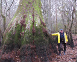 Bob and the cypress trunk