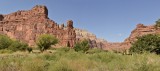 supai village pano 2 - small.jpg