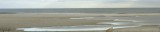 Tidal Pools