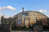 Greenhouse Frontlit