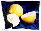 limones-pollaroid 001.jpg