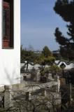 Jardin de chine