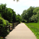 Lookout Nature Walk