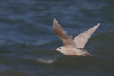 IMG_2556.18.03.jpg
