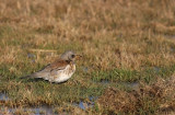 IMG_4361-1.2.09.jpg