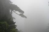 Huangshan_1756