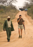 Tracking Lions ... carefully!