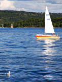 Oslo Harbour - Boating