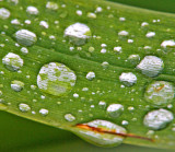 Droplets