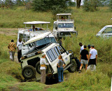 Bogged down Safari