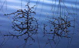 Burren Reflections