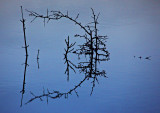 Burren Reflections