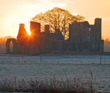 Bective Abbey Sunrise