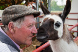 Llama Kiss