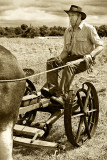 Horsedrawn Mower