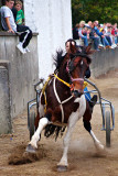 Braking