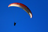 Paraglider