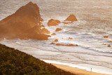 Point Reyes Coastline