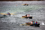 Currach Race